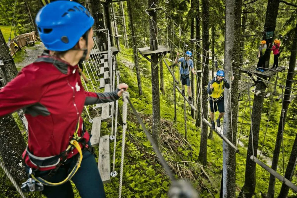 Aktive Abenteuer im Waldseilgarten mit Teilnehmern in Kletterausrüstung und beeindruckender Natur.